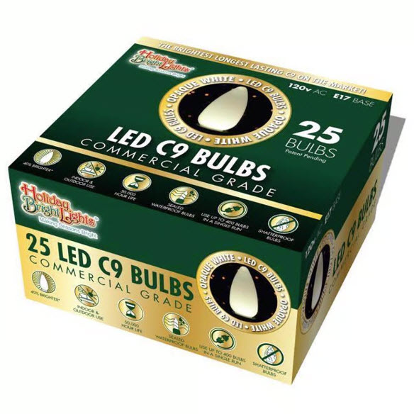 Holiday Bright Lights BU25LEDSC9OWHA