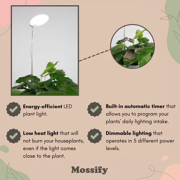 Adjustable LED Plant Light, Mossify, 8 in to 28 in H, Black - 4