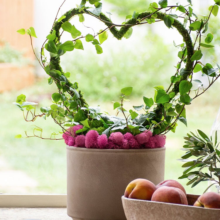 Indoor Heart Trellis, Supermoss, 13 in W x 16 in H - 2