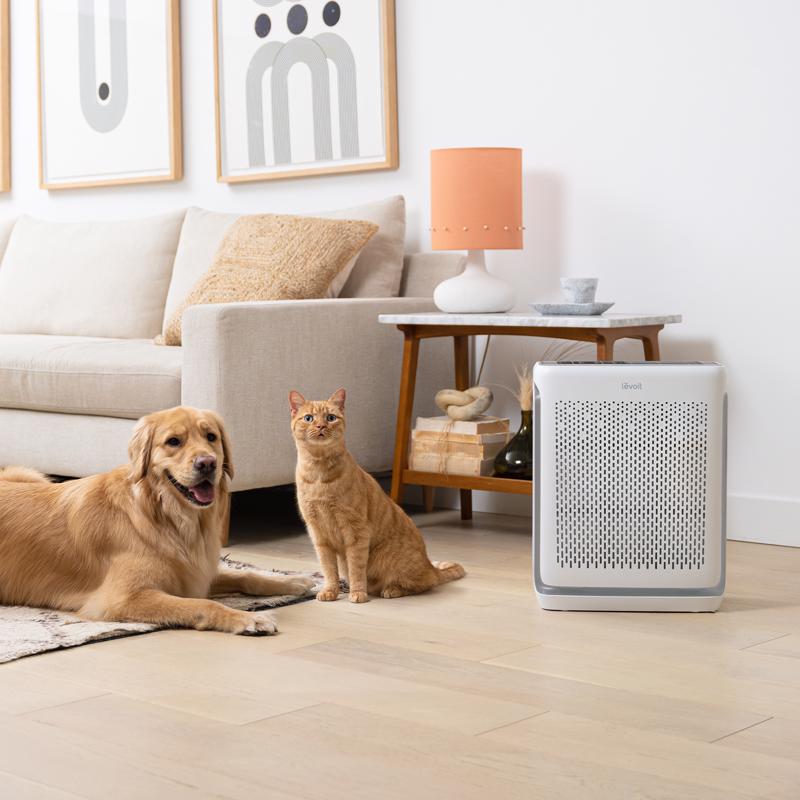 200S Air Purifier, Levoit, HEPA, 380 sq/ft - 3