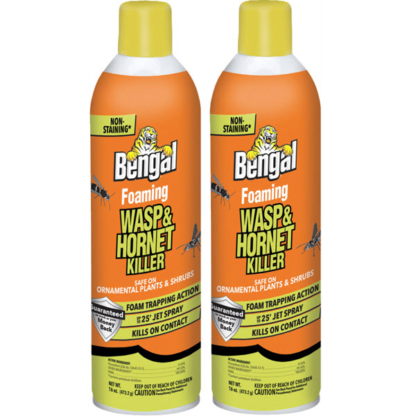 Wasp & Hornet Killer, Bengal, Foaming, 16 oz, 2 pk - 1