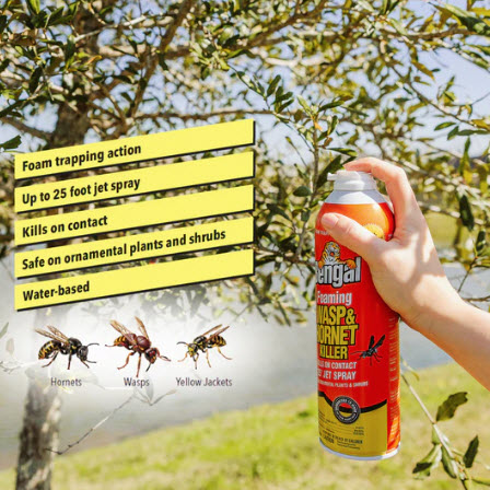 Wasp & Hornet Killer, Bengal, Foaming, 16 oz, 2 pk - 2