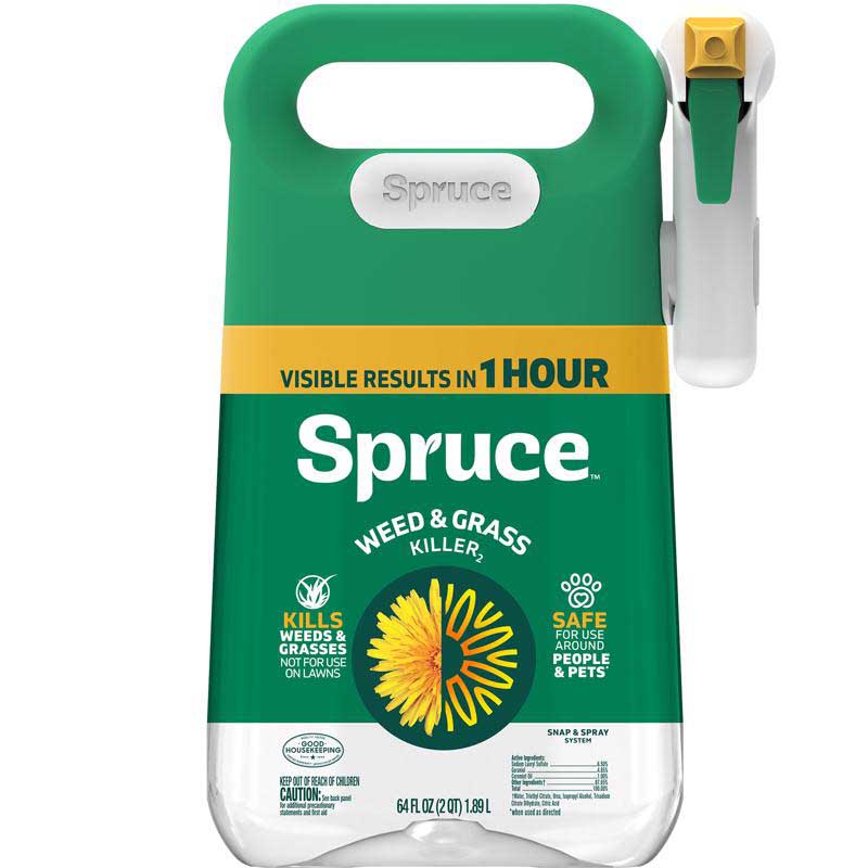 Spruce 810121300022