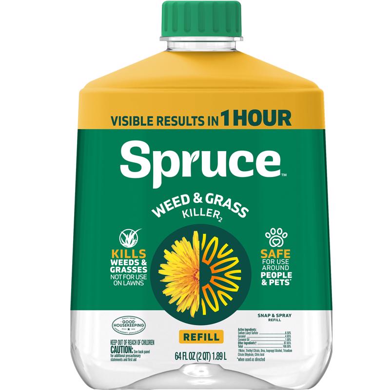 Spruce 810121300015