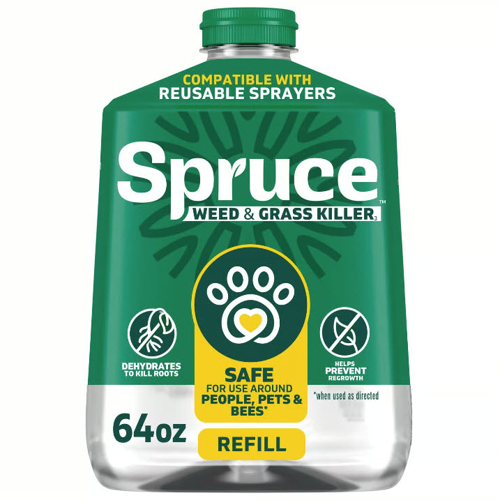 Spruce 810121300442