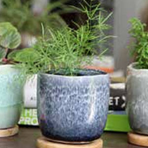Ph Garden IP-J16240SPM-C