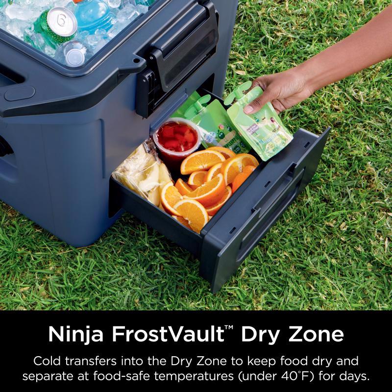 Frostvault Cooler, Ninja, 30 qt, Blue - 2