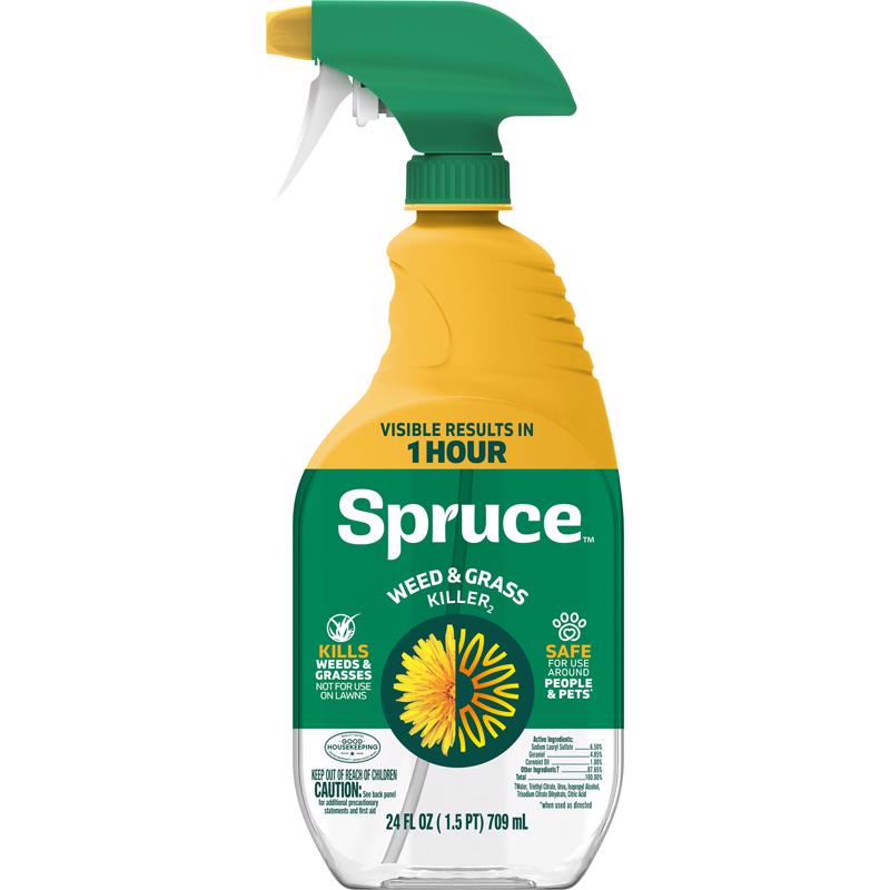 Spruce 810121300060