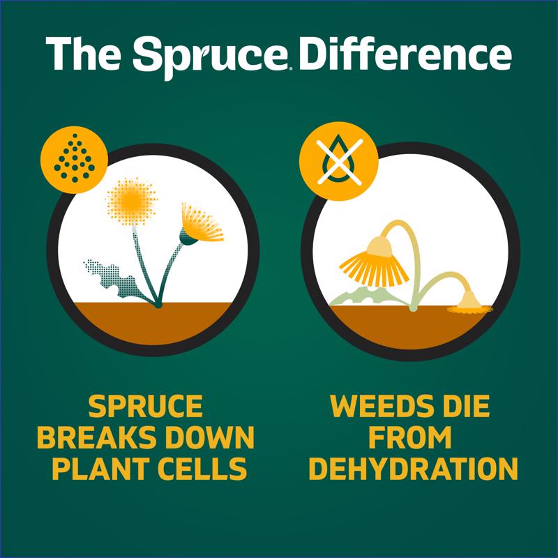 Weed and Grass Killer, Spruce, Ready to Use, 24 oz Bottle - 3