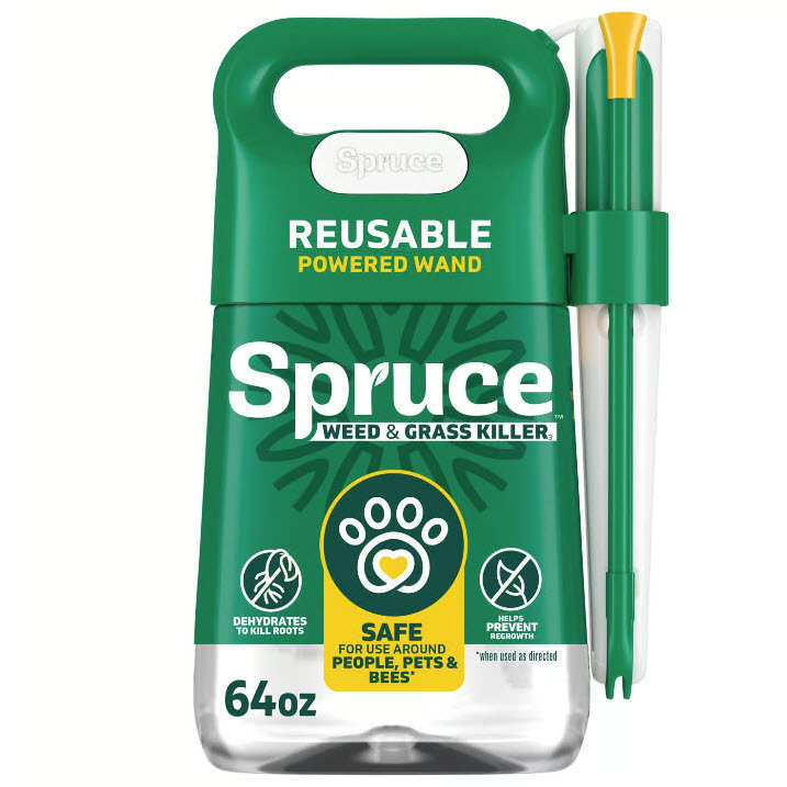 Spruce 810121300428