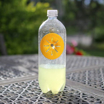 Wasp & Hornet Trap, Fatal Funnel, 2 pk - 2