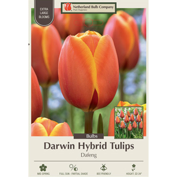 Netherland Bulb Company 5900155671