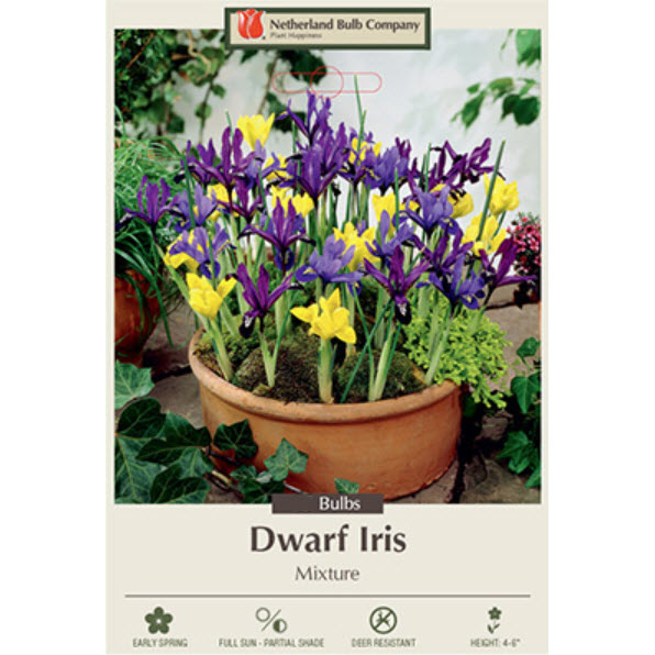 Netherland Bulb Company 3534900670