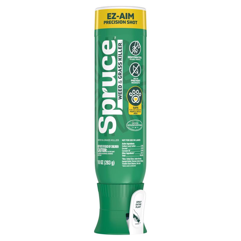 Spruce 8.10121E+11