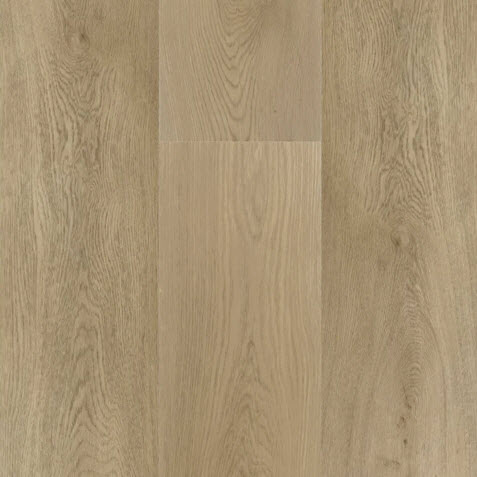 Daltile AB2497120L65MS