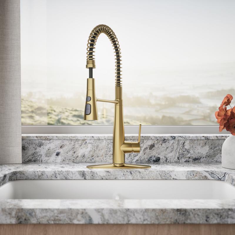 Kitchen Faucet, Kohler, Leste, Pull-down, Brass - 2