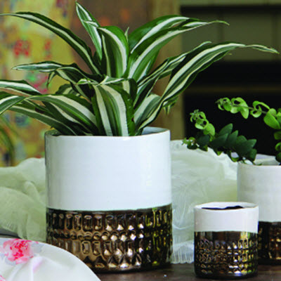 Ph Garden IP-J19270IVW-A