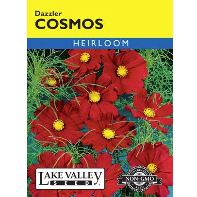 Lake Valley Seed 373