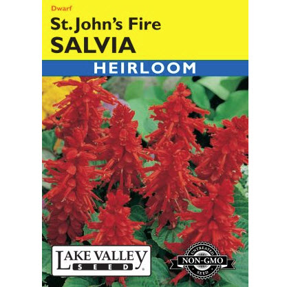 Lake Valley Seed 269