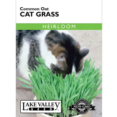 Lake Valley Seed 1854