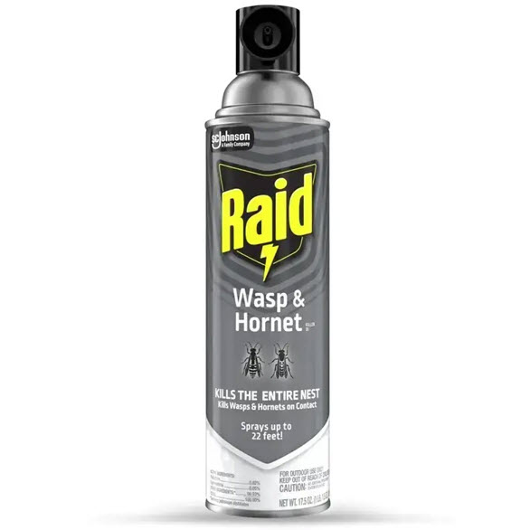 Wasp & Hornet Killer, Raid, Sprays up to 22 ft, 17.5 oz - 1