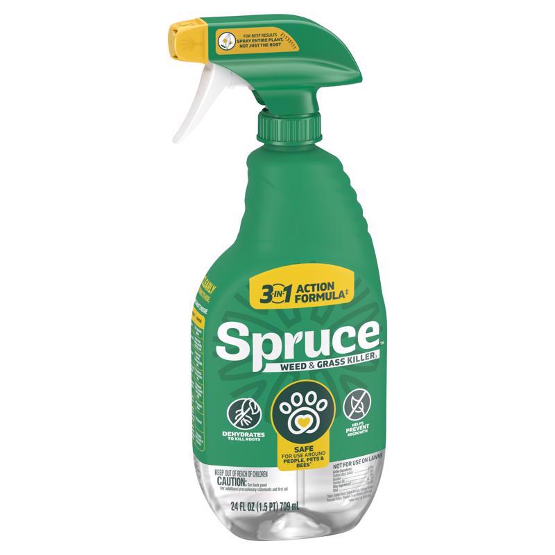Spruce 810121300411