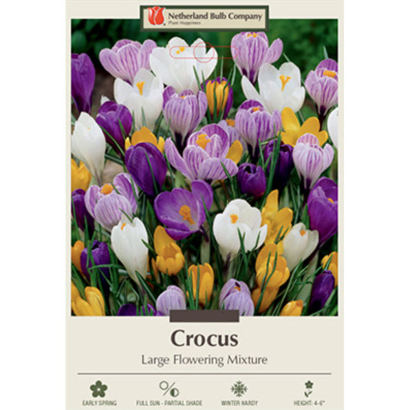 Netherland Bulb Company 9021