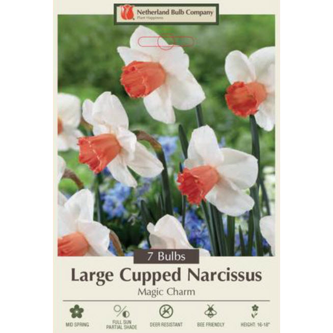 Netherland Bulb Company 4304227670