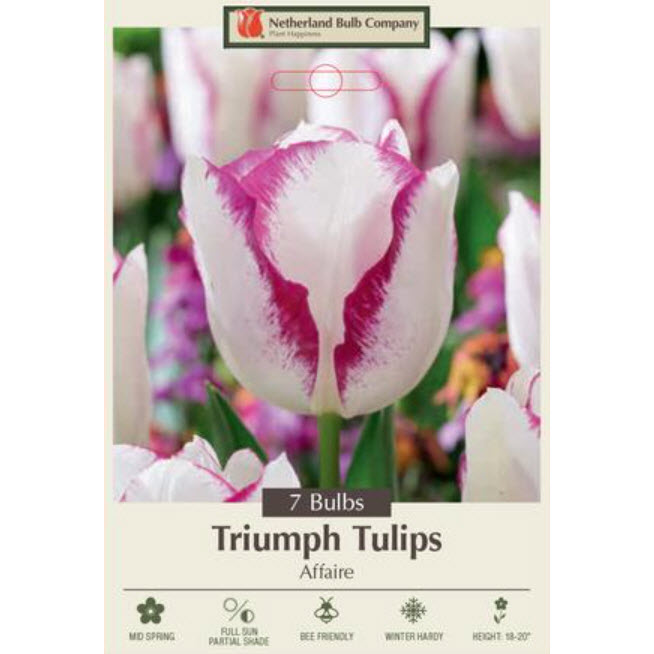 Netherland Bulb Company 5913101670