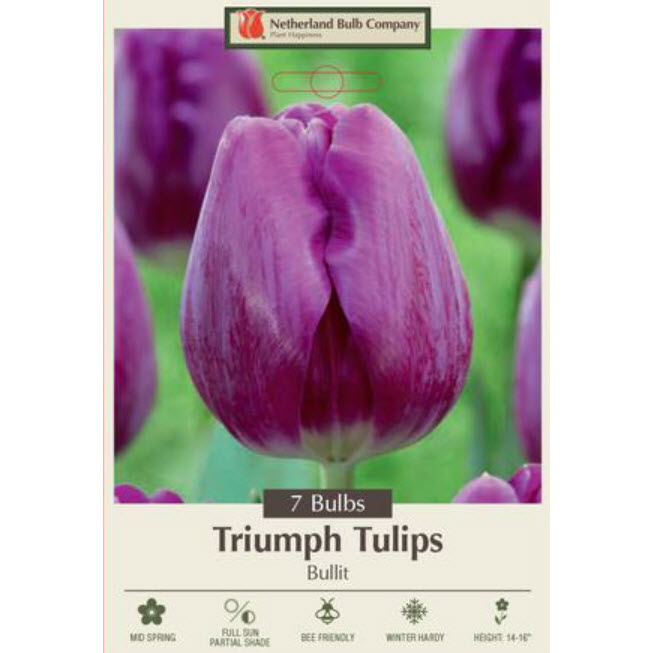 Netherland Bulb Company 5913142670