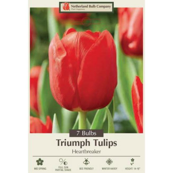 Netherland Bulb Company 5913327670