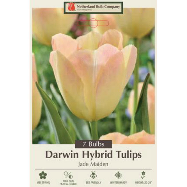 Netherland Bulb Company 5900250670