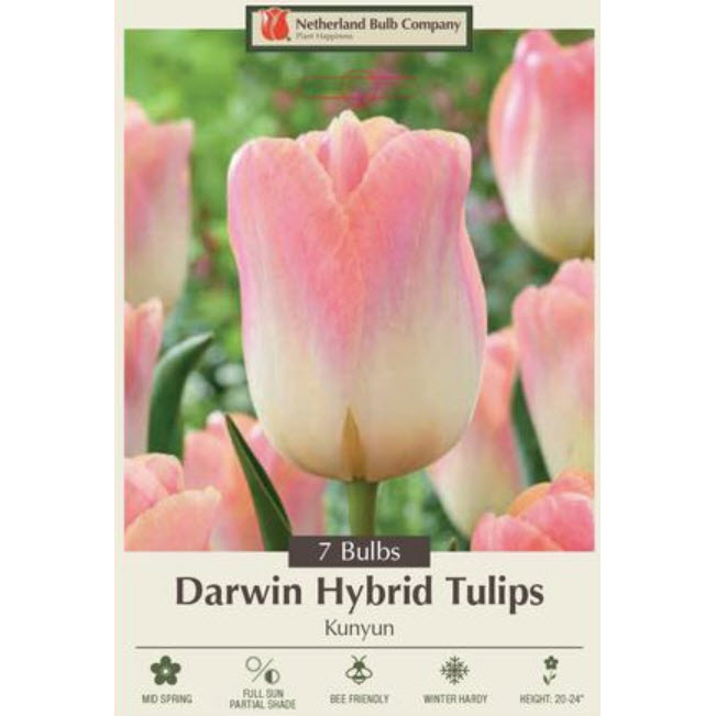 Netherland Bulb Company 5900345670