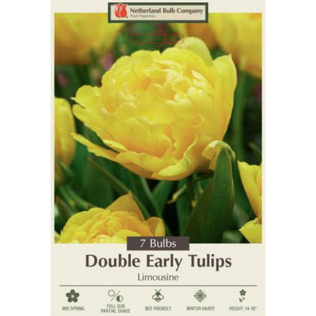 Netherland Bulb Company 5901286670