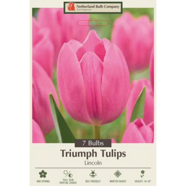 Netherland Bulb Company 5913358670