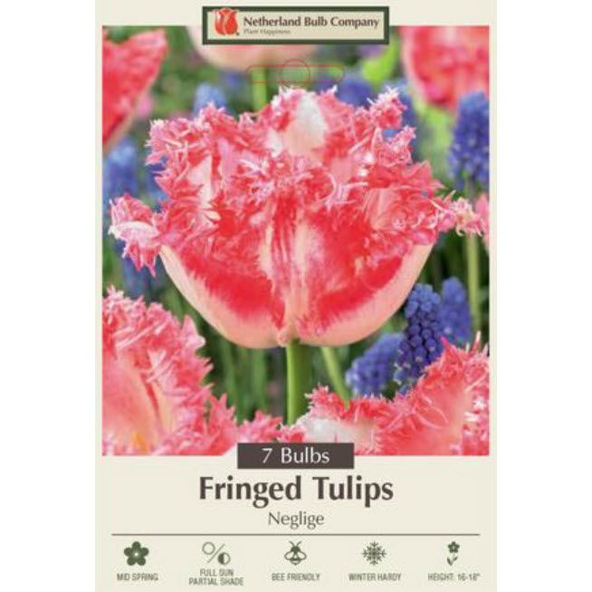 Netherland Bulb Company 5904281670