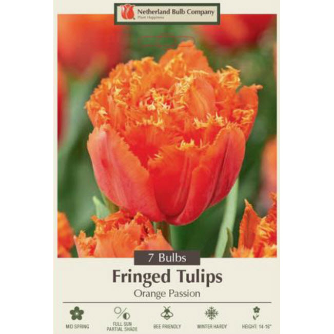 Netherland Bulb Company 5904282670