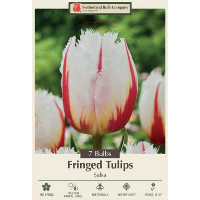 Netherland Bulb Company 5904284670