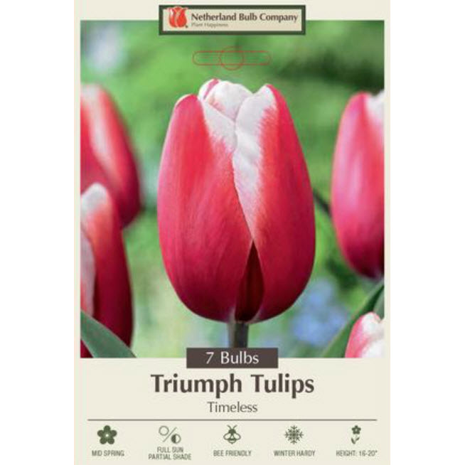 Netherland Bulb Company 5913369670