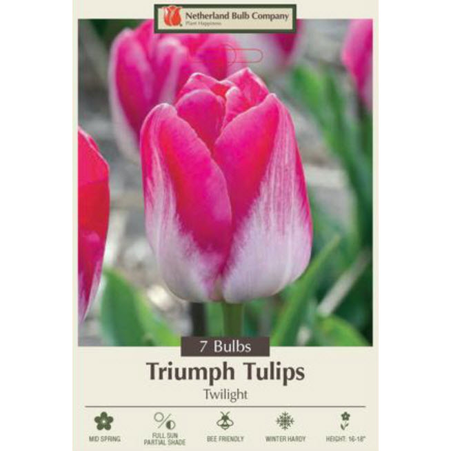 Netherland Bulb Company 5913872670