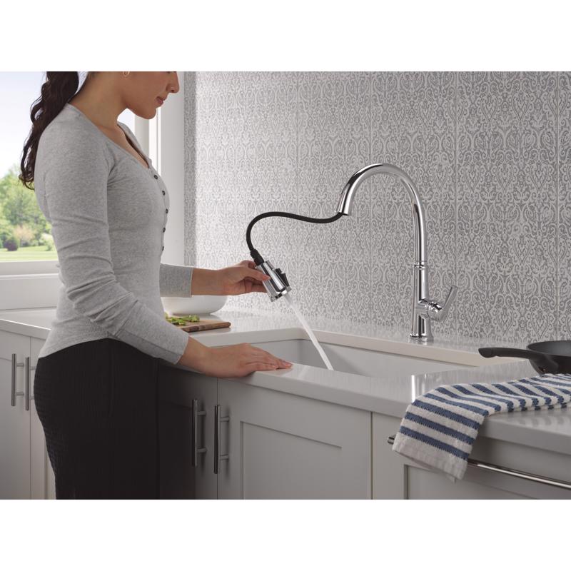 Kitchen Faucet, Delta, Geist, Pull-Down, Chrome - 2