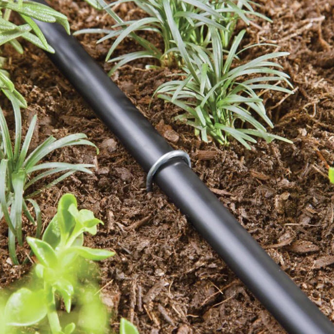 Hook Stake Barb, Raindrip, 8 in L, Barb, Steel, Black, 15pk - 2