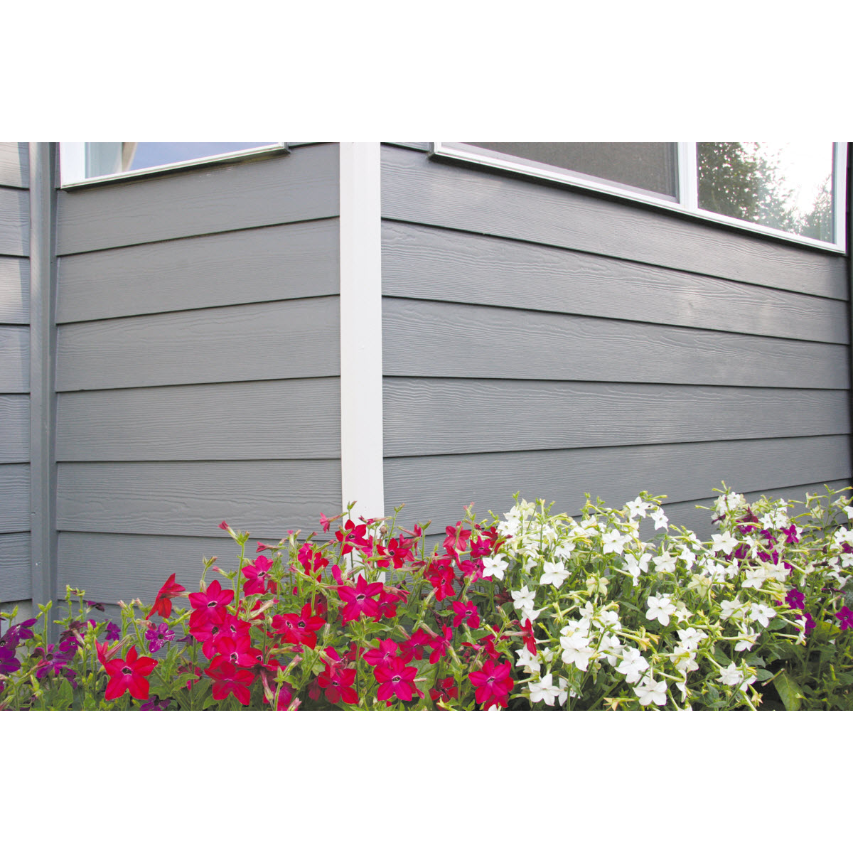 Lap Siding, Lumber & Composites, 5/16 in x 8 1/4 in x 12 ft, Hardie Plank Primed - 2