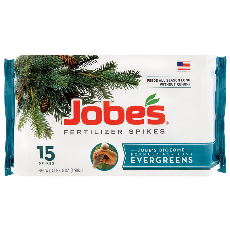 Jobes 01611