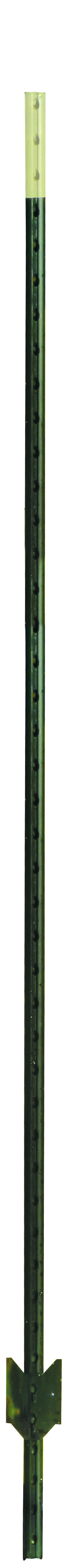 Primesource TP60125GC