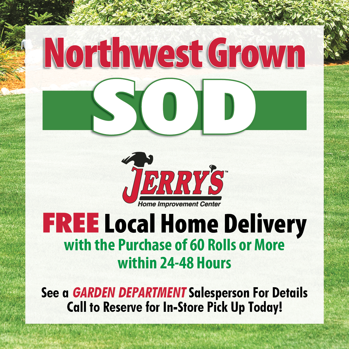 Sod Roll, JB Instant Lawn, 8 sq-ft, Perennial Ryegrass - 3