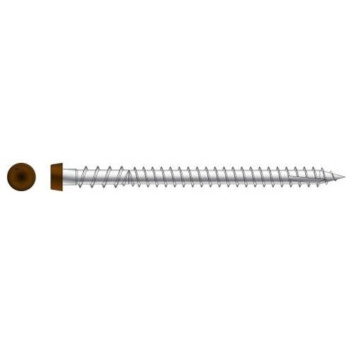 Simpson Strong-Tie Deck-Drive 6381274 #10 Thread, 2-3/4 in L, T20 Drive Size, Stainless Steel, Star Drive, Saddle, 350 Count