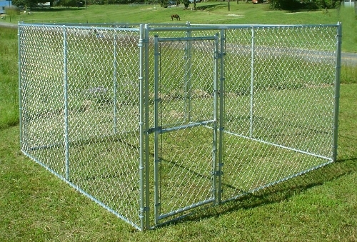 10 ft OAL x 10 ft OAW x 6 ft OAH Chain Link Dog Kennel, Steel, Galvanized