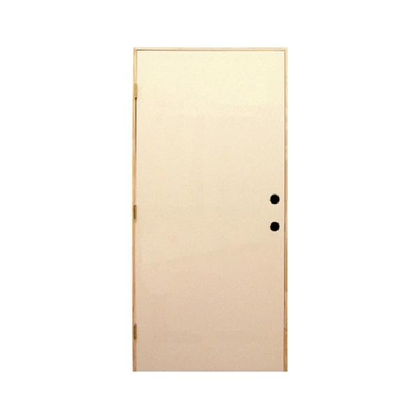 32 in x 80 in, Flush, Steel, Slab Door, With Sweep