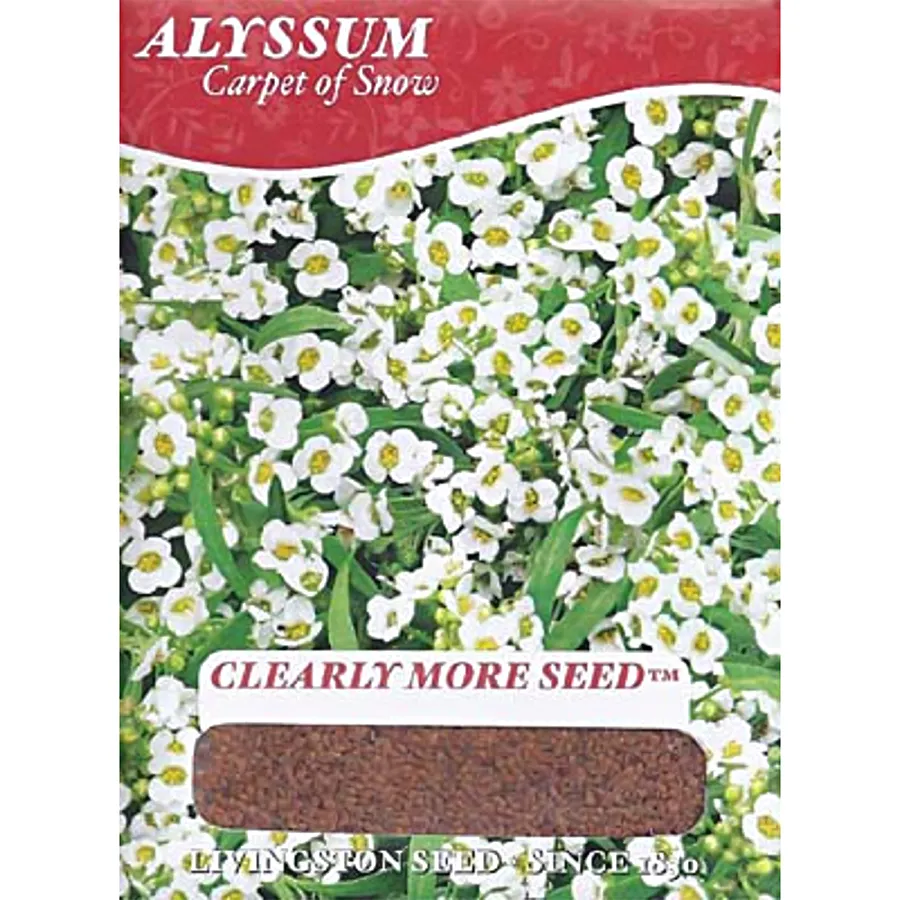 Y1005 Carpet of Snow Alyssum Seed, 1.5 g Pack